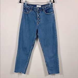 Abercrombie & Fitch Curve Love The Mom High Rise Button Front Jeans Women 28/6R